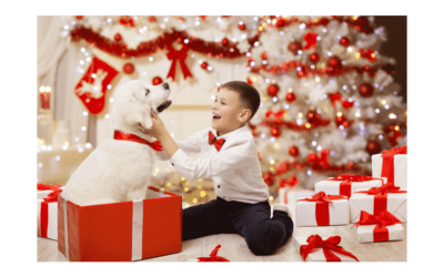 Why Getting a Pet for Christmas Can Be a Mistake